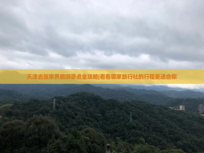 天津去张家界旅游景点全攻略|看看哪家旅行社的行程更适合你