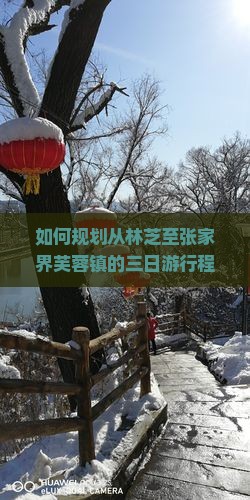 如何规划从林芝至张家界芙蓉镇的三日游行程与攻略？