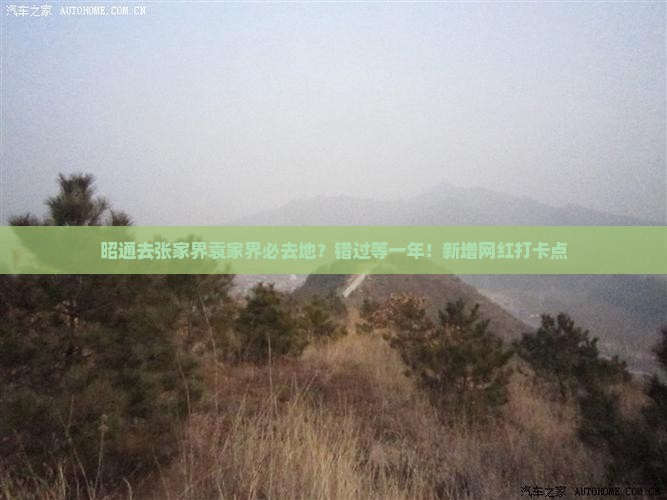 昭通去张家界袁家界必去地？错过等一年！新增网红打卡点