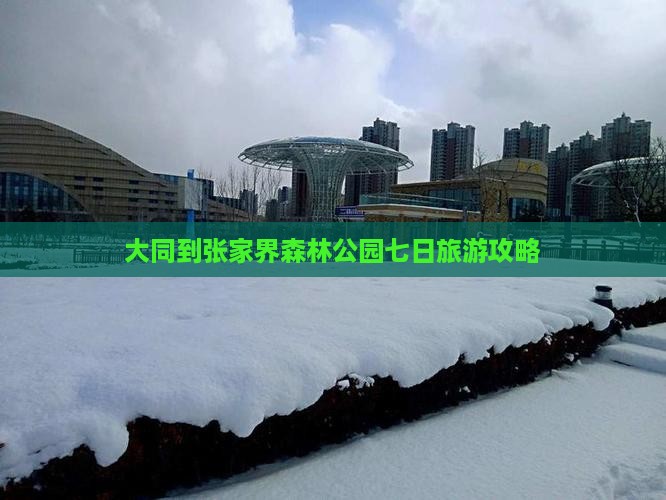 大同到张家界森林公园七日旅游攻略