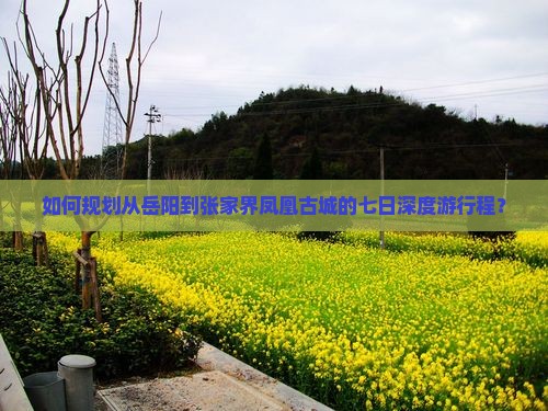 如何规划从岳阳到张家界凤凰古城的七日深度游行程？