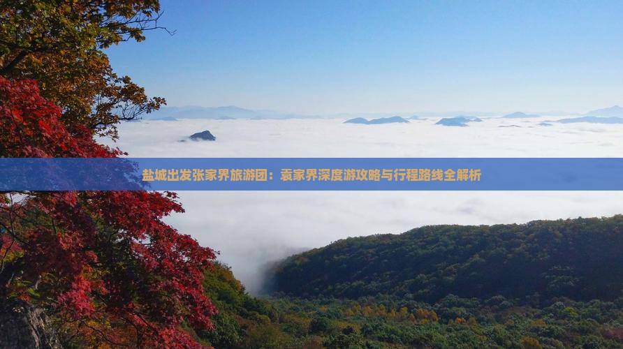 盐城出发张家界旅游团：袁家界深度游攻略与行程路线全解析