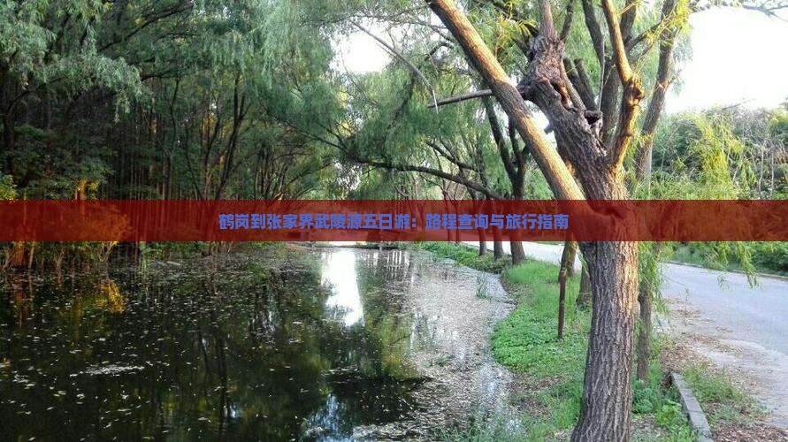 鹤岗到张家界武陵源五日游：路程查询与旅行指南
