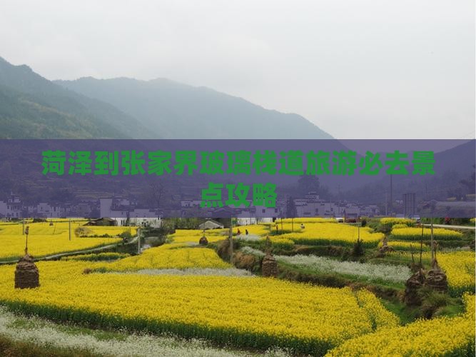 菏泽到张家界玻璃栈道旅游必去景点攻略