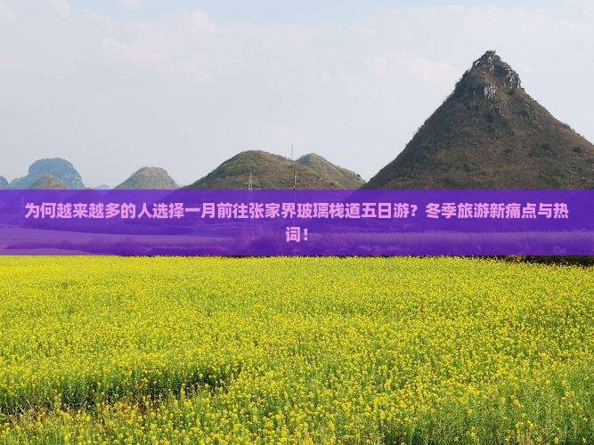 为何越来越多的人选择一月前往张家界玻璃栈道五日游？冬季旅游新痛点与热词！