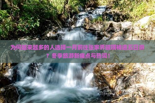 为何越来越多的人选择一月前往张家界玻璃栈道五日游？冬季旅游新痛点与热词！