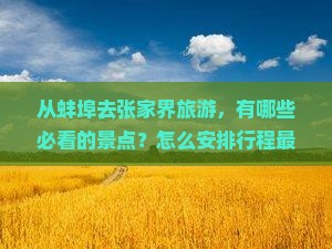 从蚌埠去张家界旅游，有哪些必看的景点？怎么安排行程最合适？