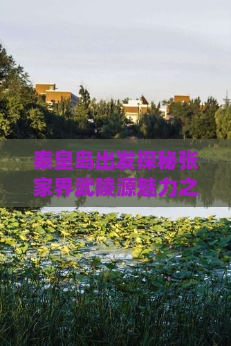 秦皇岛出发探秘张家界武陵源魅力之旅