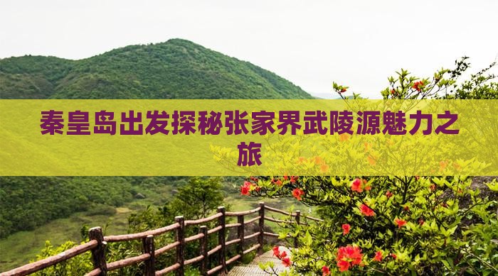 秦皇岛出发探秘张家界武陵源魅力之旅