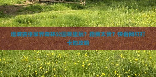 塔城去张家界森林公园哪里玩？路费太贵？快看网红打卡地攻略