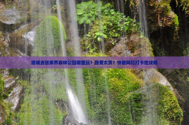 塔城去张家界森林公园哪里玩？路费太贵？快看网红打卡地攻略