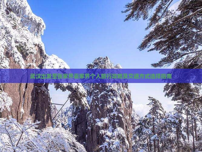 武汉出发至张家界袁家界个人旅行攻略及交通方式选择指南