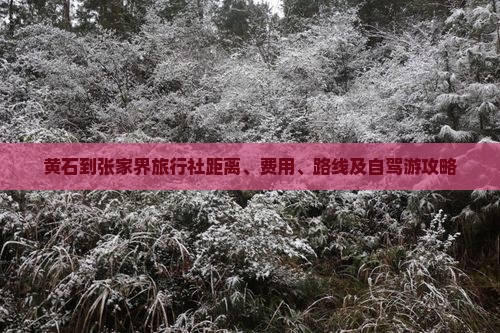 黄石到张家界旅行社距离、费用、路线及自驾游攻略