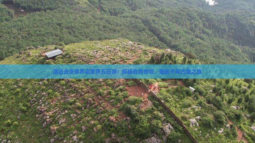 清远去张家界袁家界五日游：探秘自然奇观，邂逅千年古城之旅