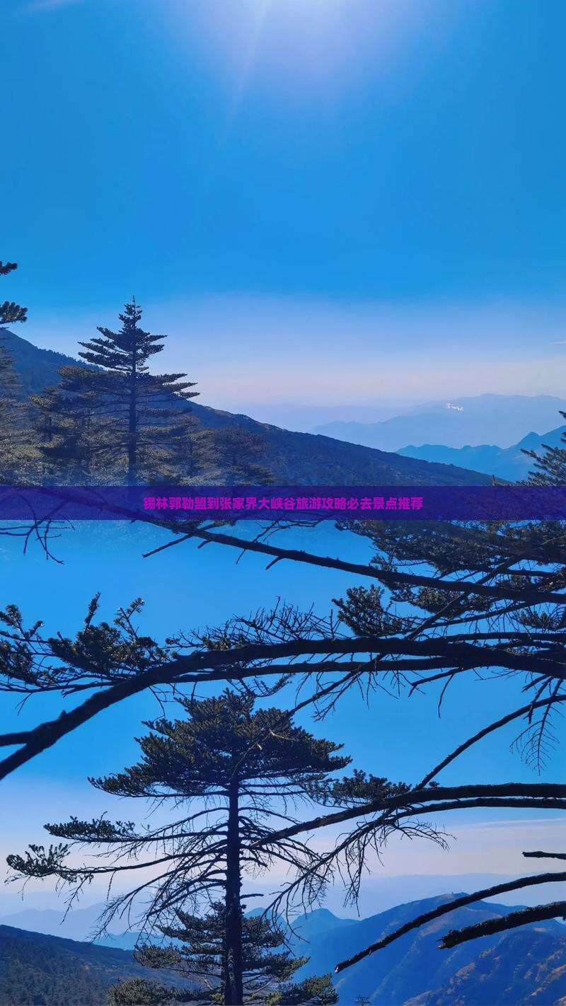 锡林郭勒盟到张家界大峡谷旅游攻略必去景点推荐