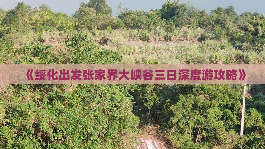 《绥化出发张家界大峡谷三日深度游攻略》