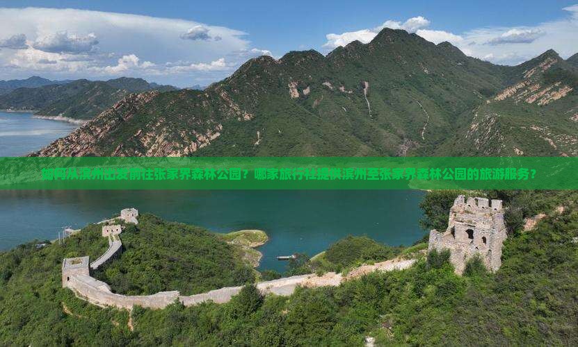 如何从滨州出发前往张家界森林公园？哪家旅行社提供滨州至张家界森林公园的旅游服务？