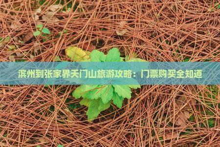 滨州到张家界天门山旅游攻略：门票购买全知道