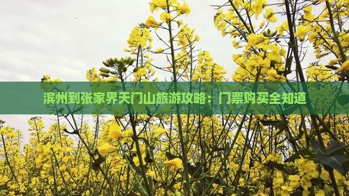 滨州到张家界天门山旅游攻略：门票购买全知道