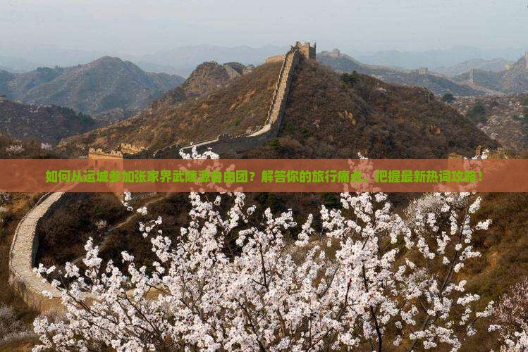如何从运城参加张家界武陵源自由团？解答你的旅行痛点，把握最新热词攻略！
