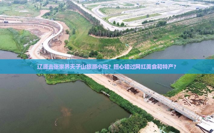 辽源去张家界天子山旅游小吃？担心错过网红美食和特产？