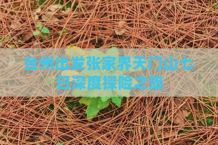 台州出发张家界天门山七日深度探险之旅