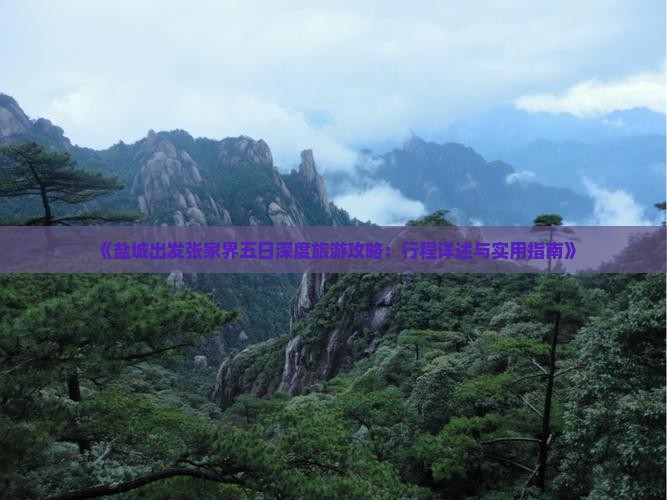 《盐城出发张家界五日深度旅游攻略：行程详述与实用指南》