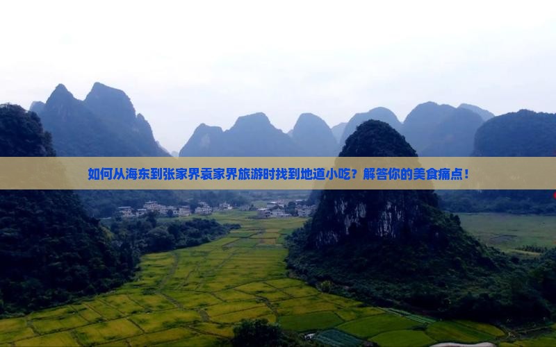 如何从海东到张家界袁家界旅游时找到地道小吃？解答你的美食痛点！