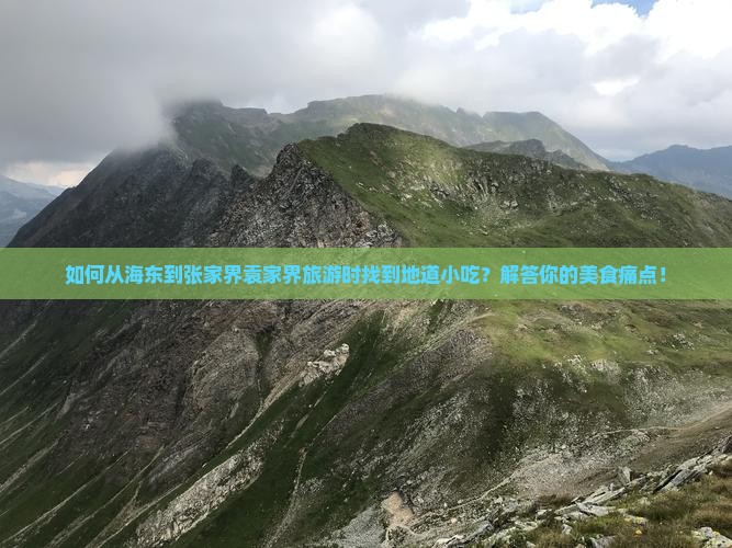 如何从海东到张家界袁家界旅游时找到地道小吃？解答你的美食痛点！
