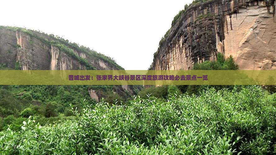 晋城出发：张家界大峡谷景区深度旅游攻略必去景点一览