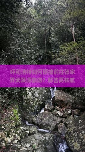 呼和浩特如何便捷前往张家界武陵源旅游？解答高铁航班痛点，解锁2023旅行新趋势！