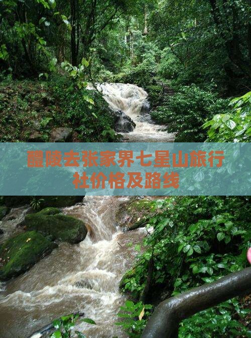 醴陵去张家界七星山旅行社价格及路线