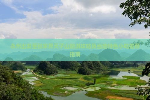 永州出发至张家界天子山旅游攻略及当地特色小吃推荐指南