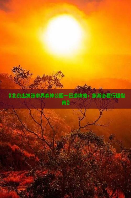 《北京出发张家界森林公园一日游攻略：旅游必看行程指南》