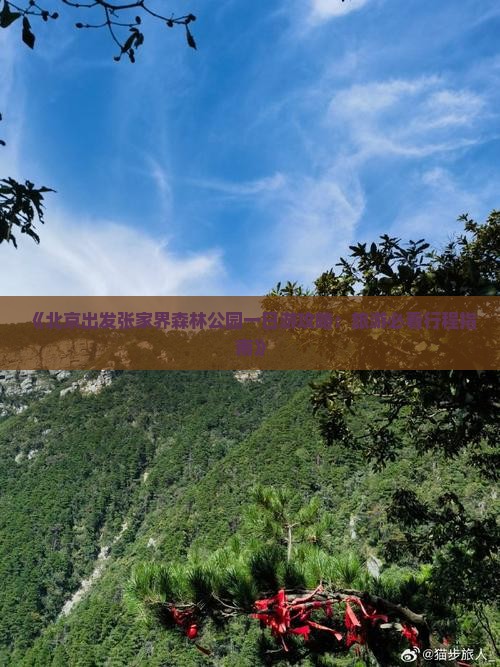 《北京出发张家界森林公园一日游攻略：旅游必看行程指南》
