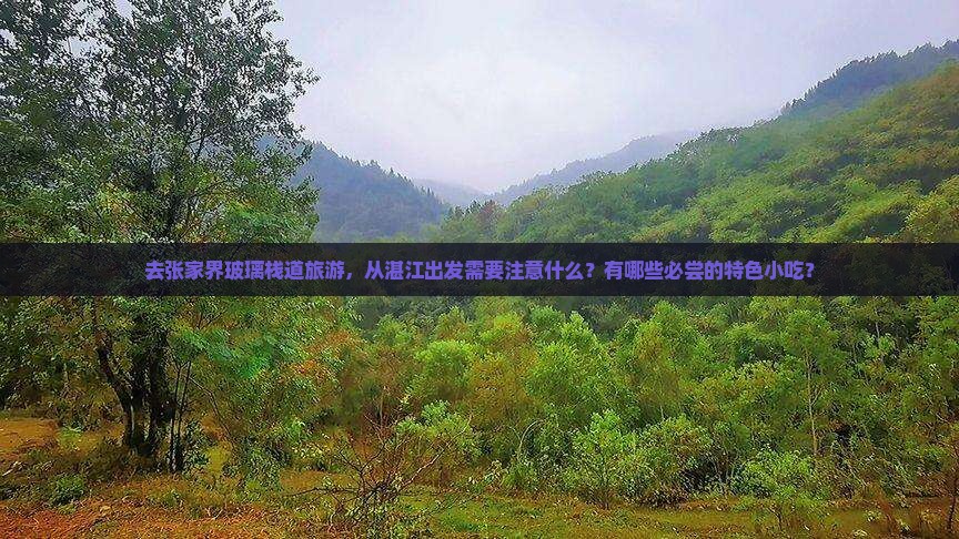 去张家界玻璃栈道旅游，从湛江出发需要注意什么？有哪些必尝的特色小吃？