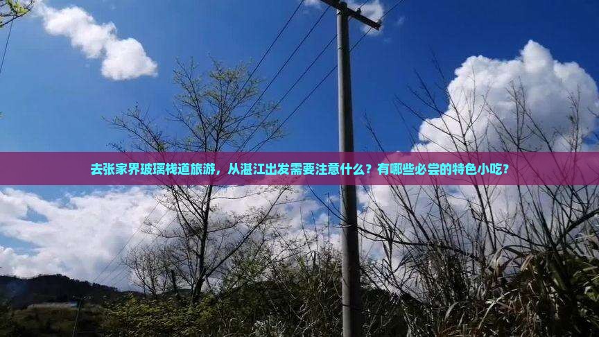 去张家界玻璃栈道旅游，从湛江出发需要注意什么？有哪些必尝的特色小吃？