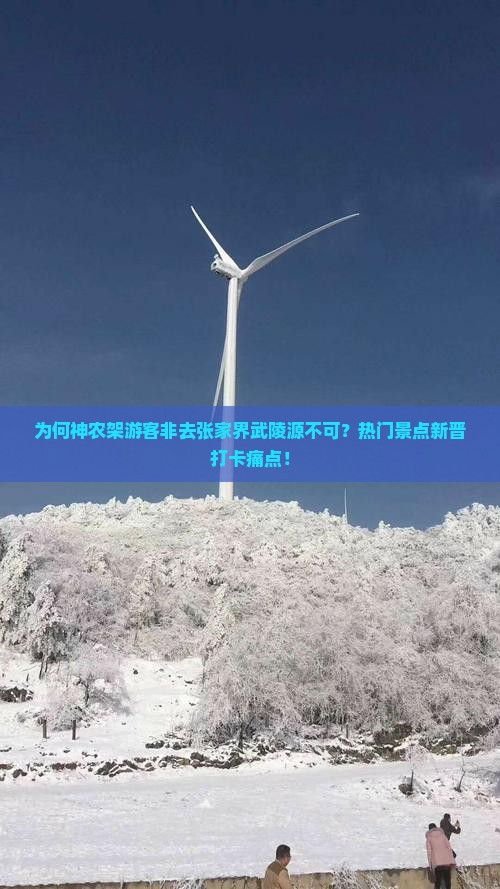 为何神农架游客非去张家界武陵源不可？热门景点新晋打卡痛点！