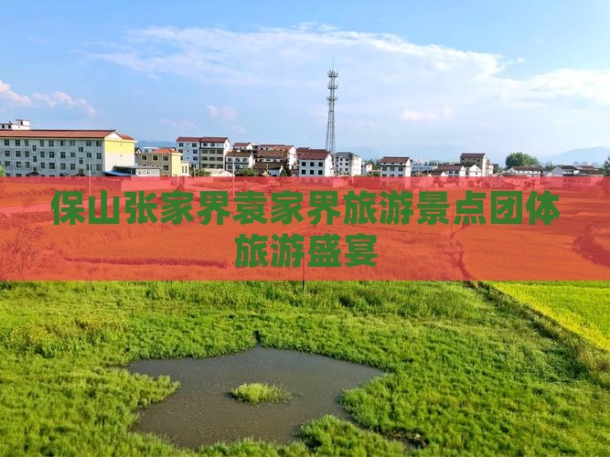 保山张家界袁家界旅游景点团体旅游盛宴