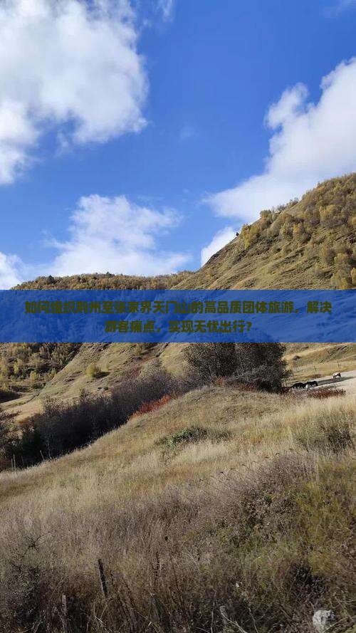 如何组织荆州至张家界天门山的高品质团体旅游，解决游客痛点，实现无忧出行？