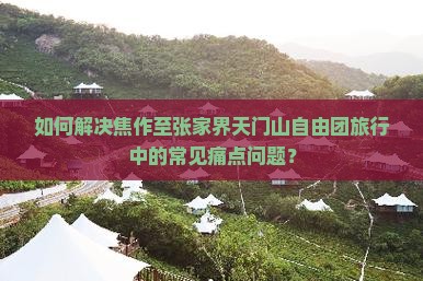如何解决焦作至张家界天门山自由团旅行中的常见痛点问题？