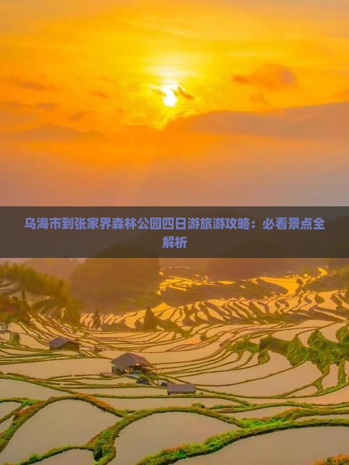 乌海市到张家界森林公园四日游旅游攻略：必看景点全解析