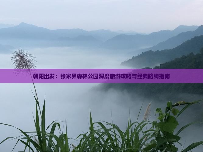 朝阳出发:张家界森林公园深度旅游攻略与经典路线指南 朝阳出发:张家界森林公园深度旅游攻略与经典路线指南