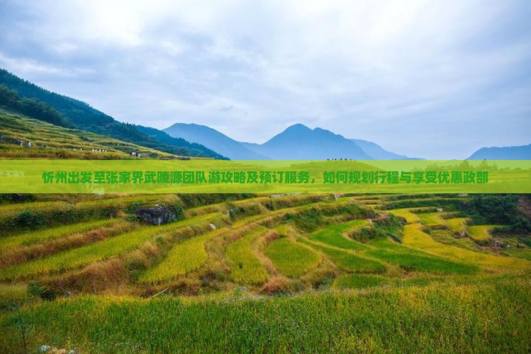忻州出发至张家界武陵源团队游攻略及预订服务，如何规划行程与享受优惠政部