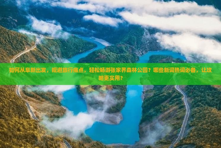 如何从阜新出发，规避旅行痛点，轻松畅游张家界森林公园？哪些新词热词必备，让攻略更实用？