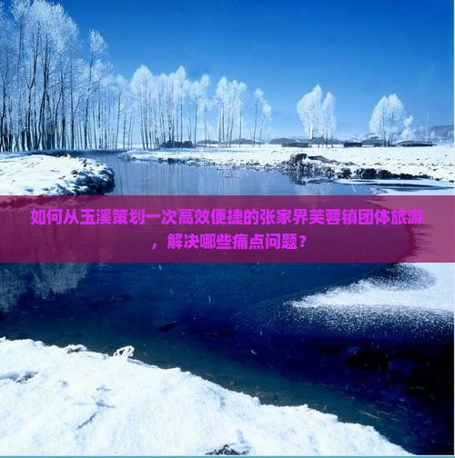 如何从玉溪策划一次高效便捷的张家界芙蓉镇团体旅游，解决哪些痛点问题？