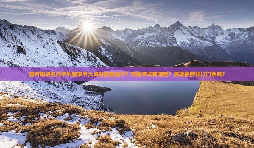 如何规划石河子到张家界大峡谷的自由行？交通方式有哪些？需要提前预订门票吗？
