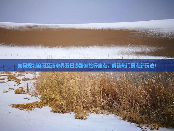 如何规划洛阳至张家界五日游路峡旅行痛点，解锁热门景点新玩法！