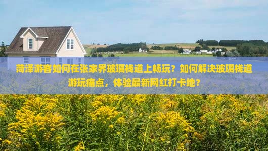 菏泽游客如何在张家界玻璃栈道上畅玩？如何解决玻璃栈道游玩痛点，体验最新网红打卡地？