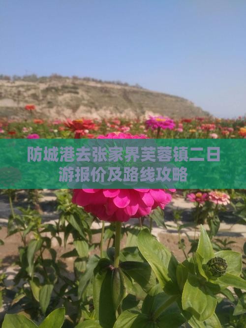 防城港去张家界芙蓉镇二日游报价及路线攻略